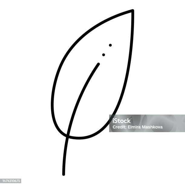 Simple Abstract Leaf Leaf Simple Abstract Doodle Vector Black And White Illustration Stock ...