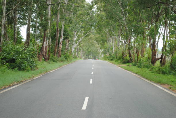 istock Road to Nandi Hills 1474312265