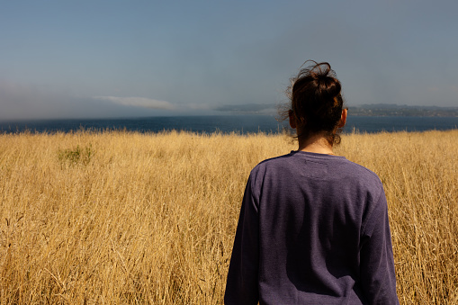 The girl from behind looks into the distance at the ocean, stands in a field with yellow grass, blue sky and fog. The girl is pensive, lonely, looks to the future.