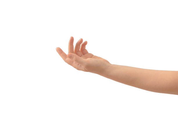 istock Open hand ready to receive someone or something on white background. Minimal arm concept. Hand gesture. 1474320290