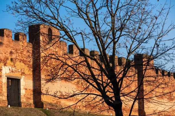 A castle with a tree in front of it. The castle is old and has a lot of history. The tree is green and provides a nice contrast to the castle. The sky is cloudy