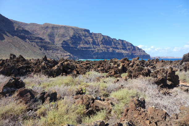 istock Volcanic landscape of Lanzarote 1474323152