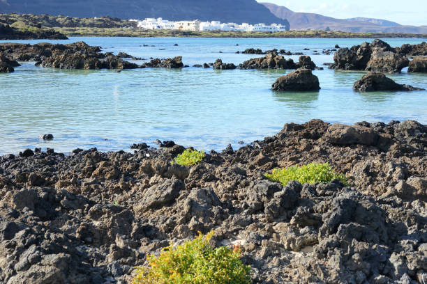 istock Volcanic landscape of Lanzarote 1474323251
