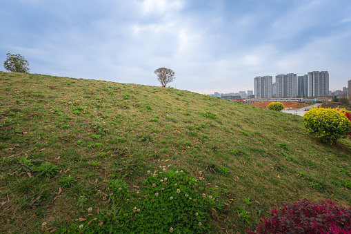 Grassland in cloudy weather