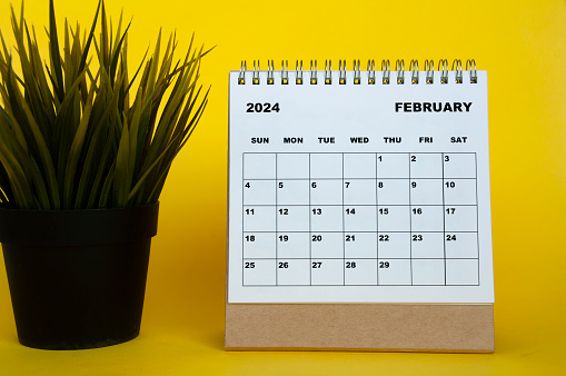 Calendario mensual de febrero de 2024 con planta de mesa sobre fondo de cubierta amarilla. Concepto de calendario mensual. photo