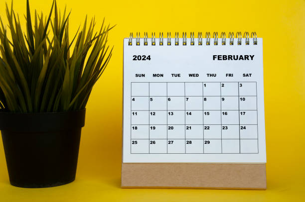 February 2024 month calendar with table plant on yellow cover background. Monthly calendar concept. February 2024 month calendar with table plant on yellow cover background. Monthly calendar concept. february stock pictures, royalty-free photos & images