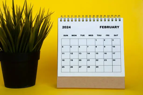 Photo of February 2024 month calendar with table plant on yellow cover background. Monthly calendar concept.