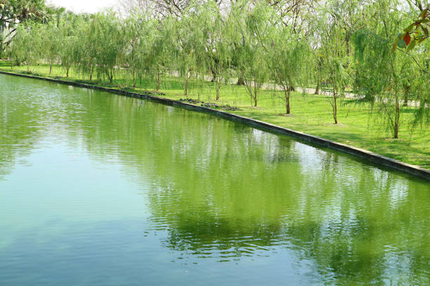 Scenic view of a park with a calm lake and green trees reflecting in the water at sunset. Peaceful urban nature scene with a decorative bridge railing in the foreground