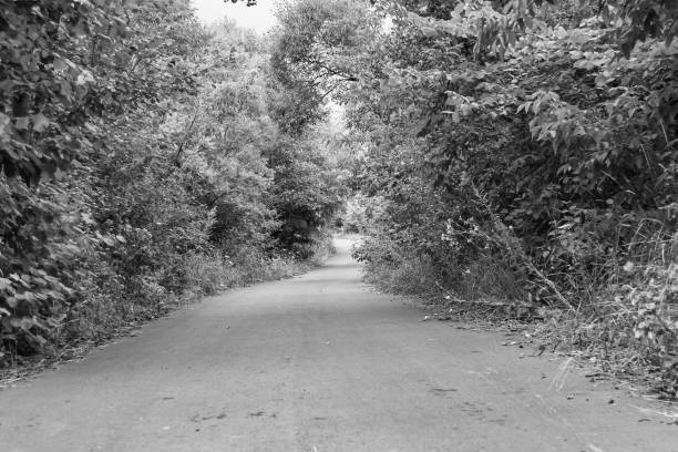 istock Beautiful empty asphalt road in countryside on light background 1474346160