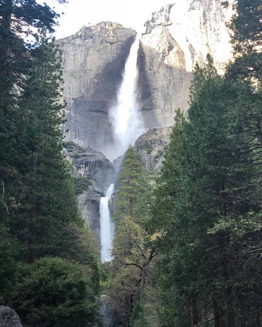 Yosemite Falls is the highest waterfall in Yosemite National Park, dropping a total of 2,425 feet (739 m) from the top of the upper fall to the base of the lower fall