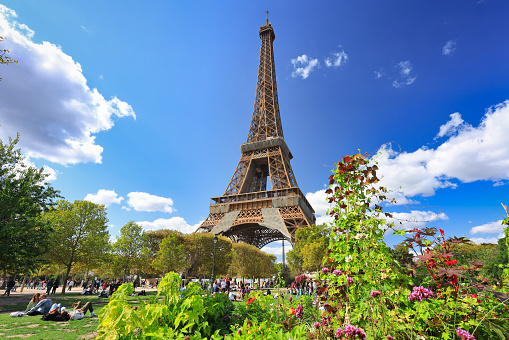 A view from underneath the Eiffel tower in Paris France with red roses in the foreground. Taken early morning under a clear sky. No filters used on this file.