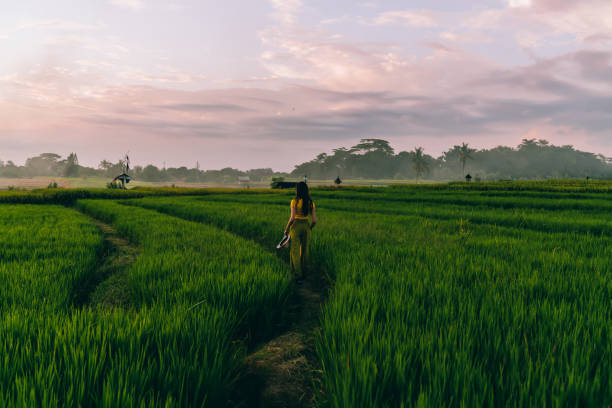 istock Young anonymous woman walking on path along green field 1474357367