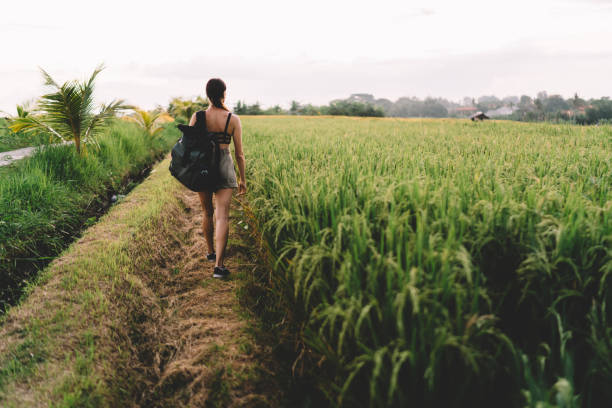 istock Faceless woman strolling in green field 1474357392