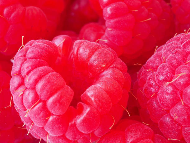 istock Close-up of fresh raspberries as a background 1474357704