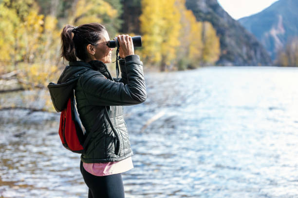 istock Hiker woman looking landscape through binoculars telescope in forest on mountain 1474360001