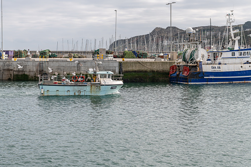 Fishing boat surrounded by gulls arriving in Howth Harbour near Dublin, Howth, Ireland