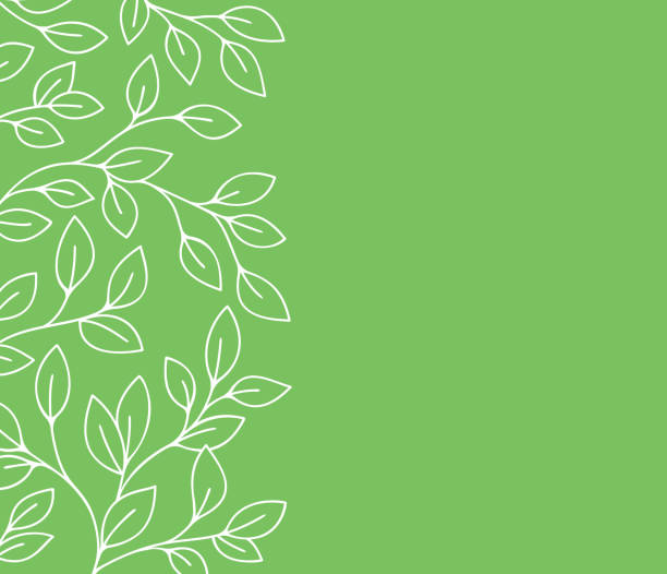 линия весенних листьев рисование краев границы - foliate pattern stock illustrations