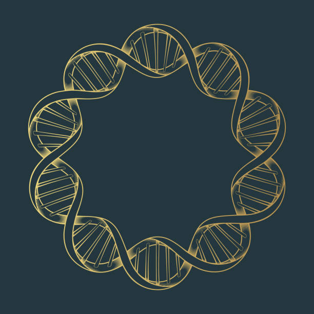 Golden DNA spiral frame. Hand drawn mystical border isolated on black background. Vector illustration for greeting card, cover or invitation. Golden DNA spiral frame. Hand drawn mystical border isolated on black background. Vector illustration for greeting card, cover or invitation. dna borders stock illustrations