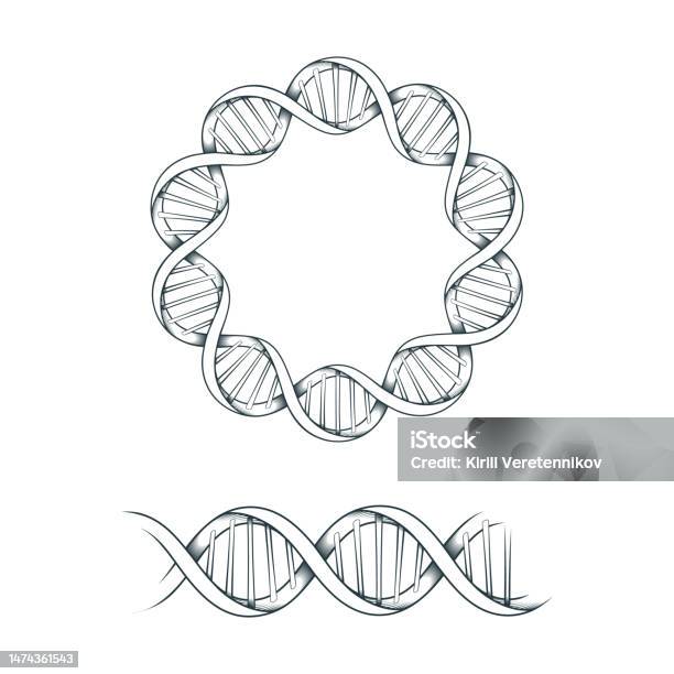 Dna Border Pattern Dna Spiral Frame Hand Drawn Mystical Border Isolated On White ...