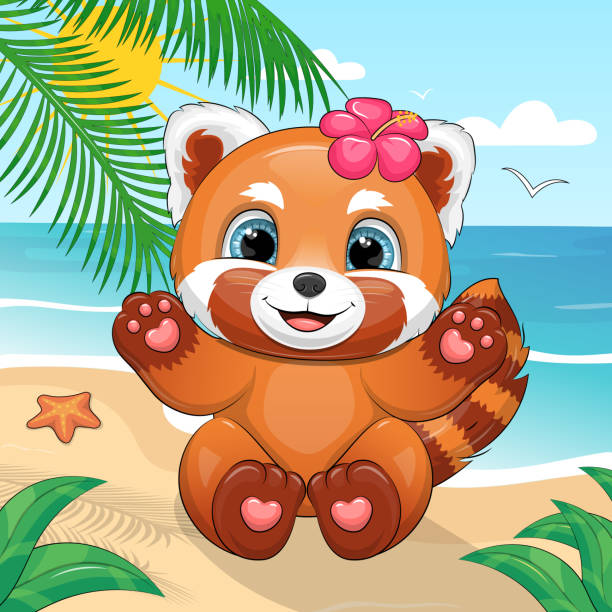 illustrations, cliparts, dessins animés et icônes de un joli panda rouge de dessin animé avec une fleur tropicale est assis sur la plage. - young animal baby panda red