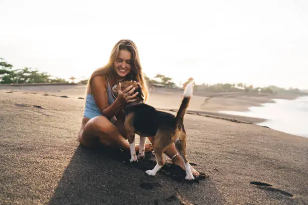 Photo of Cheerful woman in swimsuit playing with cute Beagle on beach