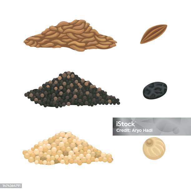 Cumin Symbol White And Black Pepper With Cumin Seed Spice Symbol Set Cartoon ...