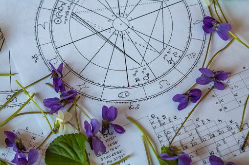 Astrology birth charts with scattered violets, spring concept