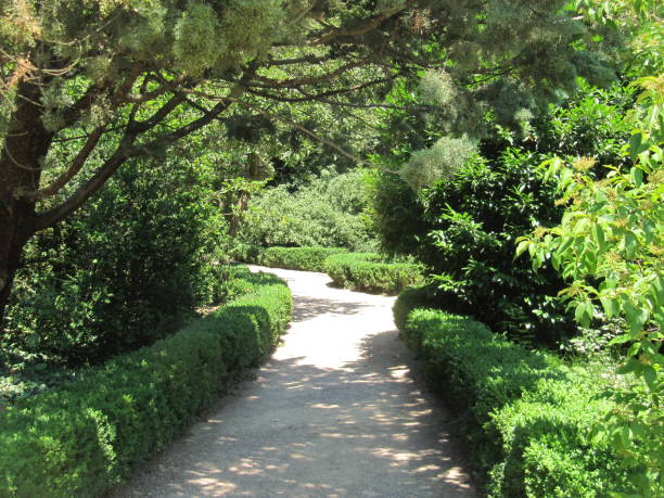 istock Path in the garden among greenery and trees. 1474372208