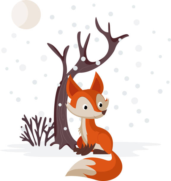 bildbanksillustrationer, clip art samt tecknat material och ikoner med winter fox cub - red fox snow