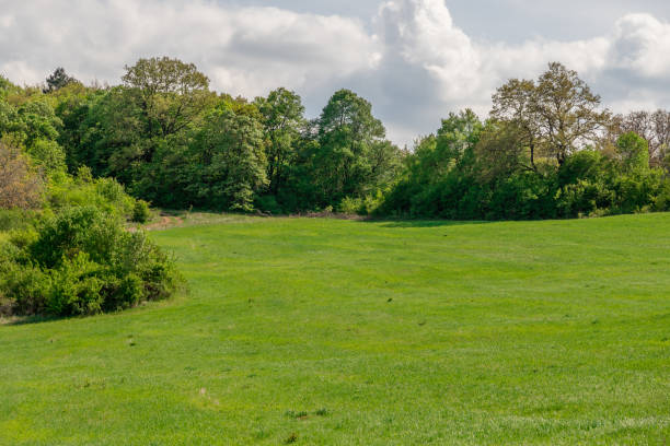 istock spring green a path to the hill 1474374434