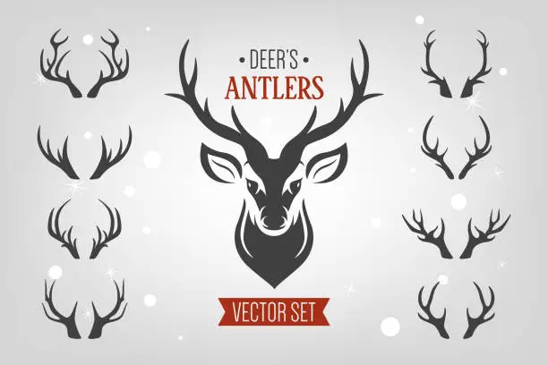 Vector illustration of Vector Reindeer Horns, Antlers. Deer Horn Silhouettes. Hand Drawn Deers Horn, Antler Set. Animal Antler Collection. Design Elements of Deer. Wildlife Hunters, Hipster, Christmas and New Year concept