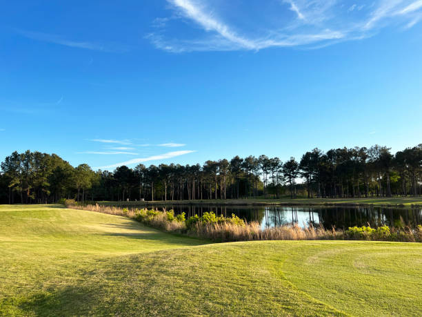istock Scenery at a Georgia State Park golf course. 1474376965