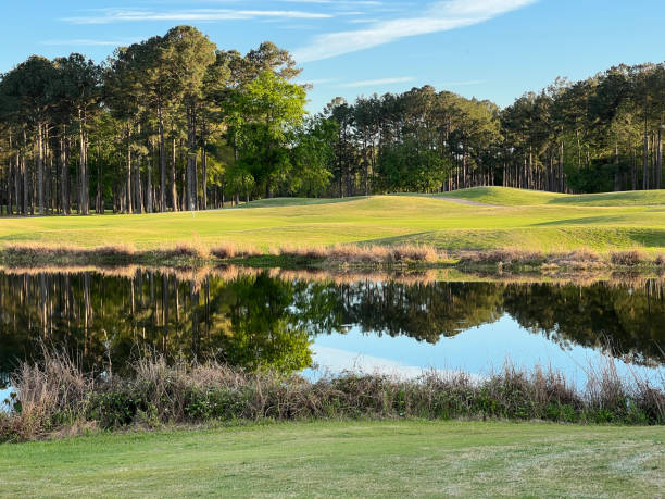 istock Scenery at a Georgia State Park golf course. 1474376970