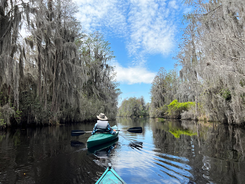 An active senior couple paddles in Okefenokee National Wildlife Refuge, North America's largest blackwater swamp habitat and home to thousands of American alligators.