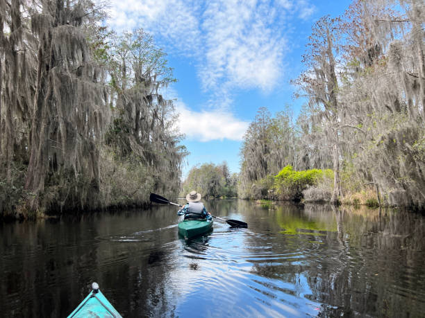 istock A active senior couple paddles Okefenokee swamp. 1474377033