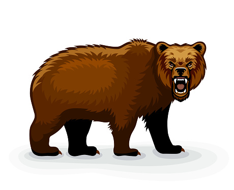Wild brown bear cartoon character. Grizzly bear growling. Mascot Creative Design. Bear fury. Roaring Brown Bear.