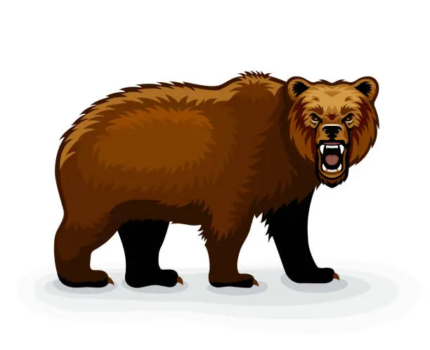 Vector illustration of Wild brown bear cartoon character. Grizzly bear growling. Mascot Creative Design. Bear fury. Roaring Brown Bear.