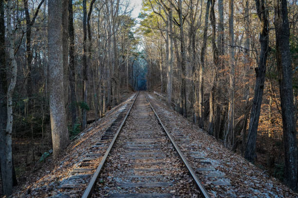 Abandoned Railway to Nowhere