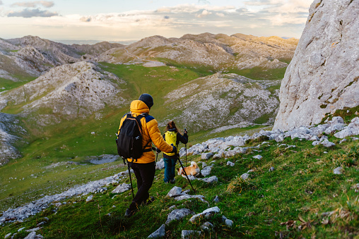 couple of hikers with their dog contemplating a green valley and the mountains. mountaineers descending a mountain equipped with trekking poles and backpacks. outdoor sport.