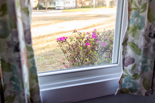 Single family home house interior with view from small cozy window of blooming pink azalea rhododendron flowers in South Carolina springtime in sunset