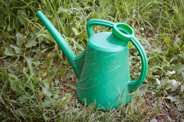 istock plastic green watering can stands on the grass. 1474392117