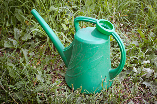 A plastic green watering can stands on the grass. Watering plants in the country. Care of plantations. Harvesting.