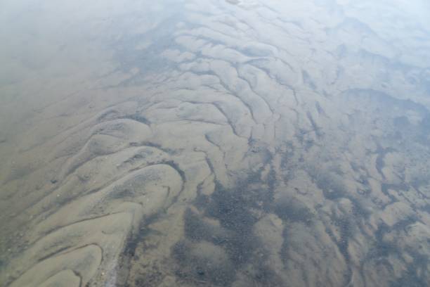 istock Tree mirrored in the puddle mirror ont he meadow in nature. 1474397512