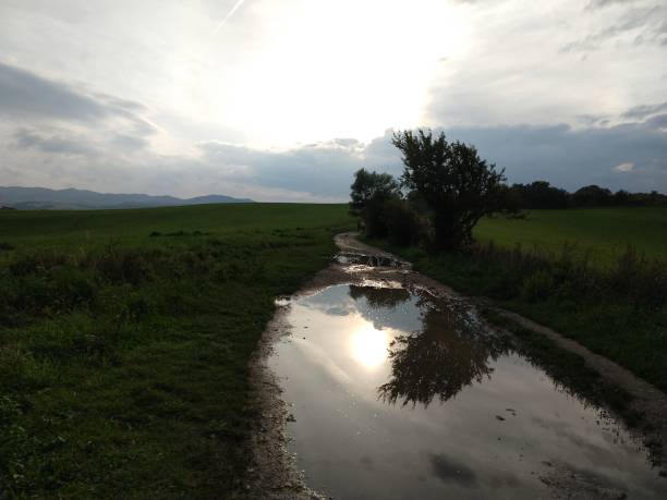 istock Tree mirrored in the puddle mirror ont he meadow in nature. 1474397583
