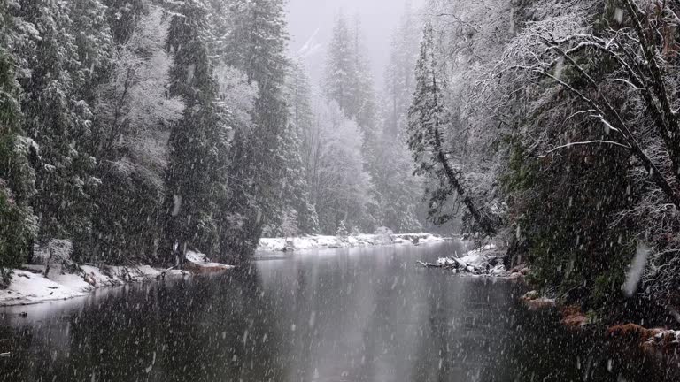 Snow falling winter landscape in Yosemite National Park