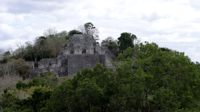 Calakmul Mayan Ruins, Yucatan, Mexico