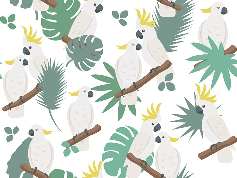 Love parrots seamless pattern. Colorful cute cockatoo with green tropical leaves. Creative cartoon style texture for fabric, wrapping, textile, wallpaper, apparel. Vector illustration.