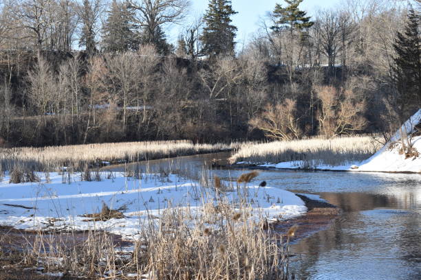 istock RBG Hendrie Valley Sanctuary. 1474404547