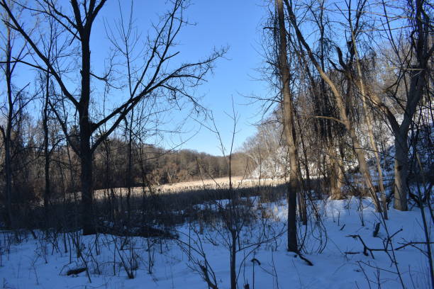 istock RBG Hendrie Valley Sanctuary. 1474404551