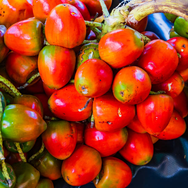 istock persimmons for sale on vine 1474407397